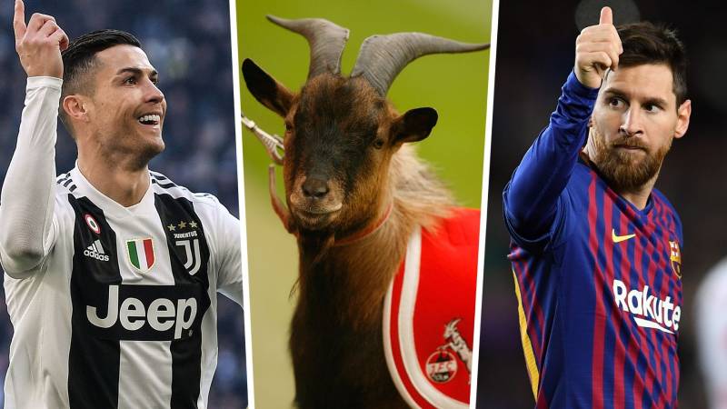 Goat Trong Bóng Đá Là Gì? Khái Niệm Và Ý Nghĩa Vĩ Đại